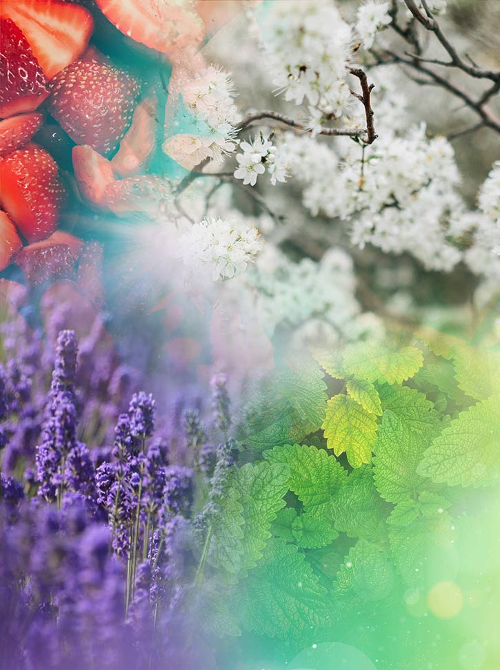 Spring cocktails, Seasonal ingredients, Spring cocktail recipes, Spring cocktail ideas, Spring drink menu, Spring cocktail ingredients, Fresh spring cocktails, Spring cocktail trends, Spring cocktail flavors, Spring cocktail inspiration, Cocktail recipes with pear, Rhubarb cocktails, Elderflower cocktails, Spring cocktail garnishes, Feijoa margarita recipe, Magnolia margarita, Seasonal cocktail ingredients, Springtime mixology, Herbal cocktail ingredients, Creative spring cocktails