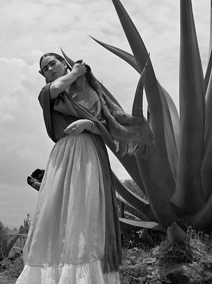 Agave Art, Mexican Culture, Tequila History, Diego Rivera, Frida Kahlo, Pulque Tradition, National Palace Mural, Agave Fields, Mexican Literature, Agave Spirits, Tequila Cocktails, Literary Cocktails, Fashion Photography, Agave in Music, Tequila Songs, Gabriel García Márquez, Tequila in Cinema, Tequila Sunrise Movie, Mexican Tradition, Artistic Expression